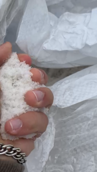 Salt halite